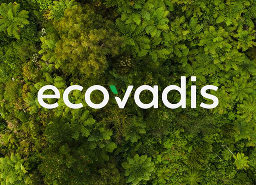 EcoVadis sustainability assessment