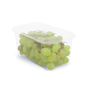 Pre-formed Tray
